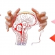 Neurozentriertes Training